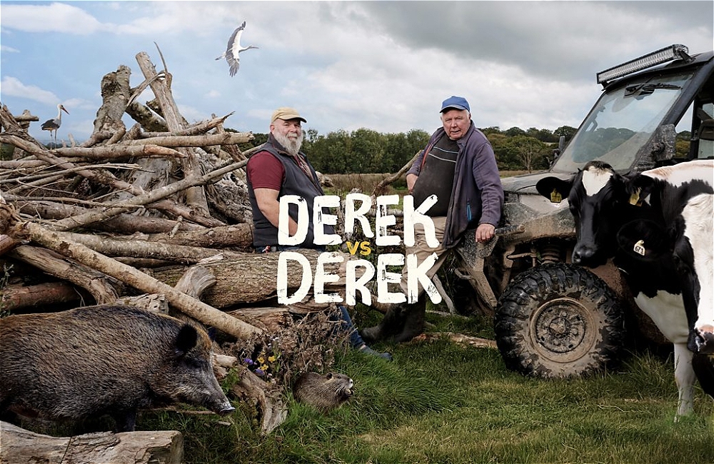 Derek Vs Derek